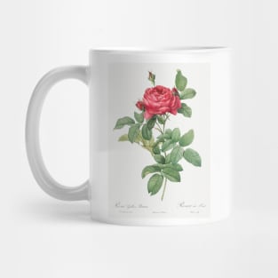 Vintage flower by Pierre-Joseph Redouté (1759–1840). Mug